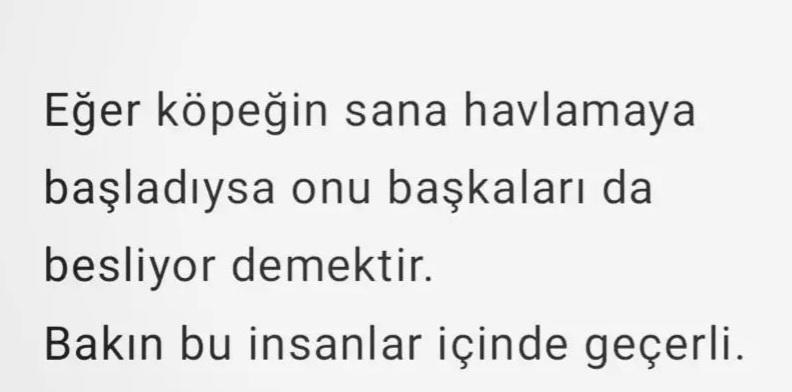 Fatih Deniz (@fatihdeniz35) on Twitter photo 