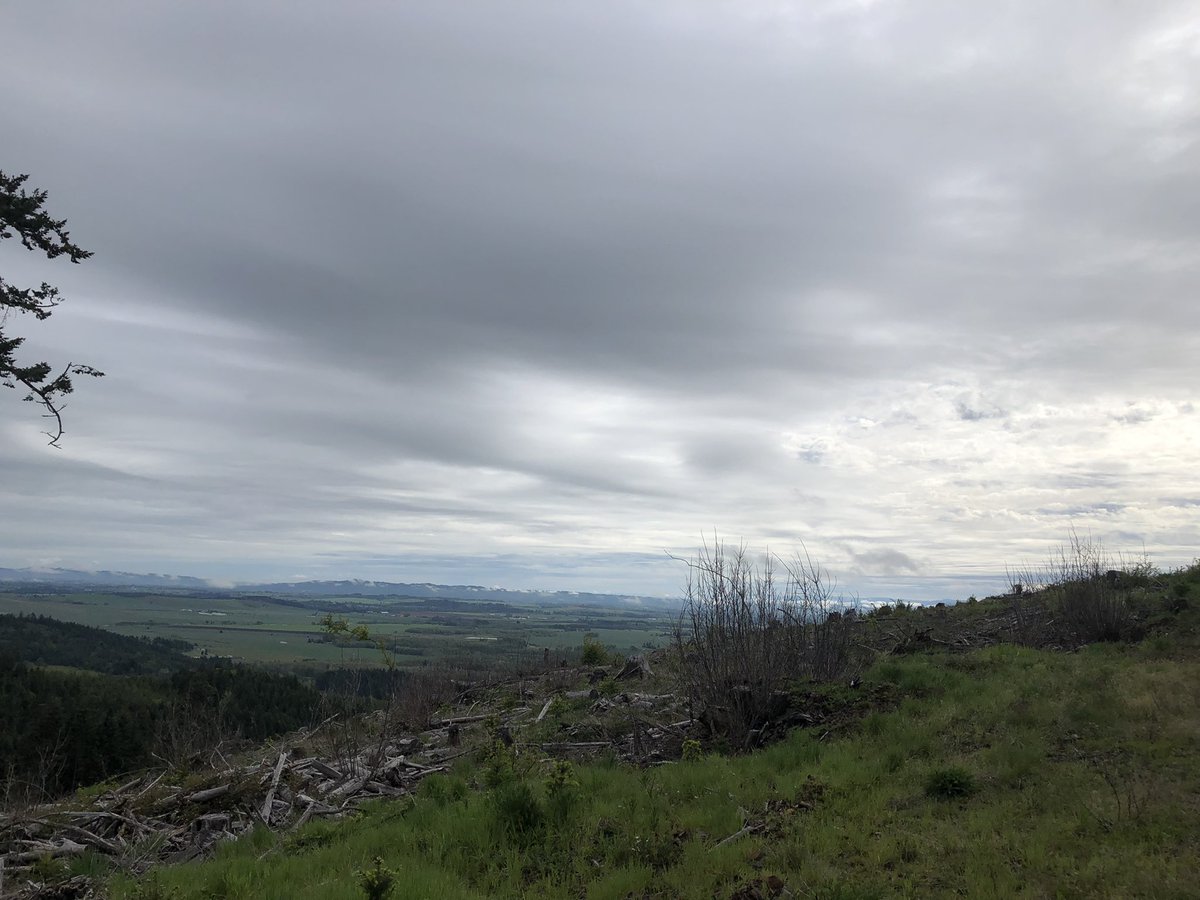 Brian Knaus tweet media