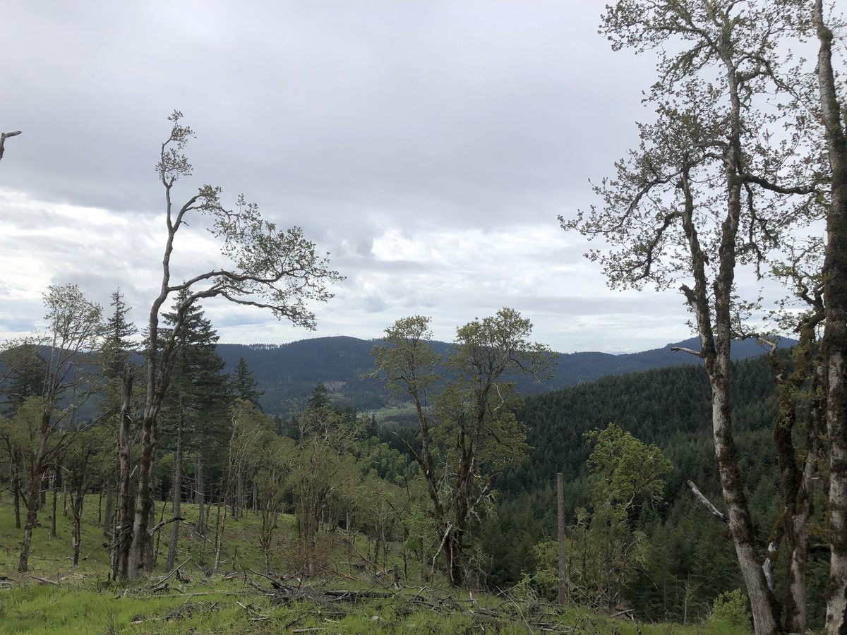 Brian Knaus tweet media