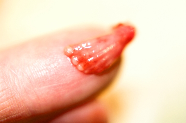 Too White for Coca-Cola tweet media