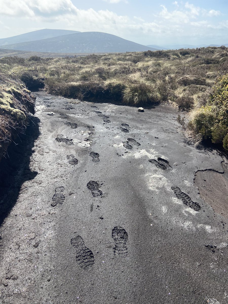 IrishRunningGir's tweet photo. Great weekend exploring and hiking around Maulin & #Tonduff topped off with a sunset stroll up #Seahan #trails #mountains #ireland #wicklow https://t.co/k5zBu3nPG7