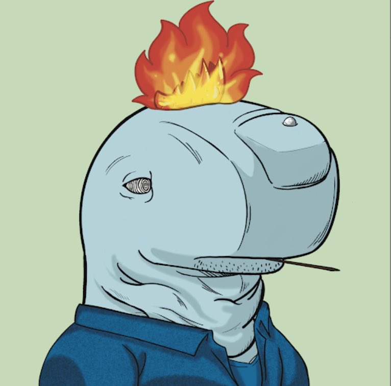 spiffyritzy's tweet photo. Retweet and like if you believe in @SSofWhales 🐋 https://t.co/6p8KNxZrt0