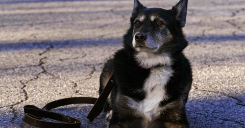 Linda M Young tweet media