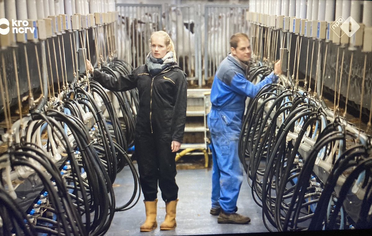 De moeder van Gerben heeft plaats moeten maken bij het melken voor Vivian. En daar is ie maar wat trots op! #bzv #boerzoektvrouw