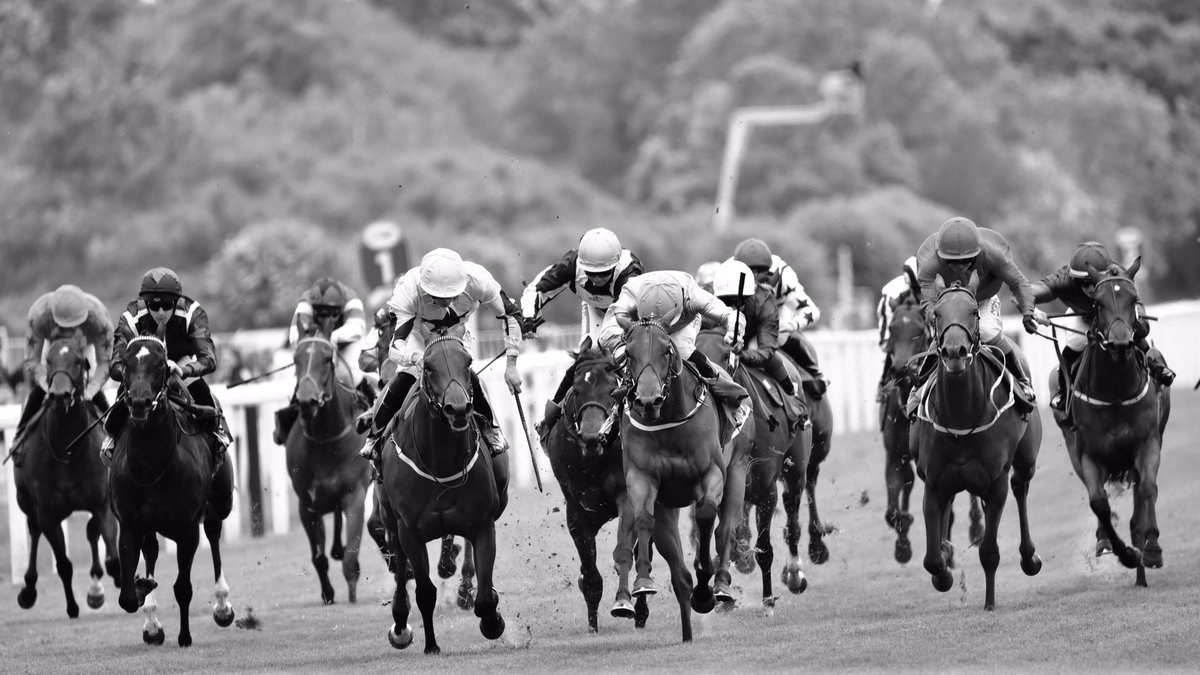 Jo_Grabowska's tweet photo. Knights Solicitors British EBF Marygate Fillies’ Stakes race and winners #PILLOWTALK #DanielTudhope and #KRBurke . All rights reserved. #racingpost #rpbloodstock #winner #racing #yorkraces #horseracing #race #thoroughbreds https://t.co/C73c2tlzXs