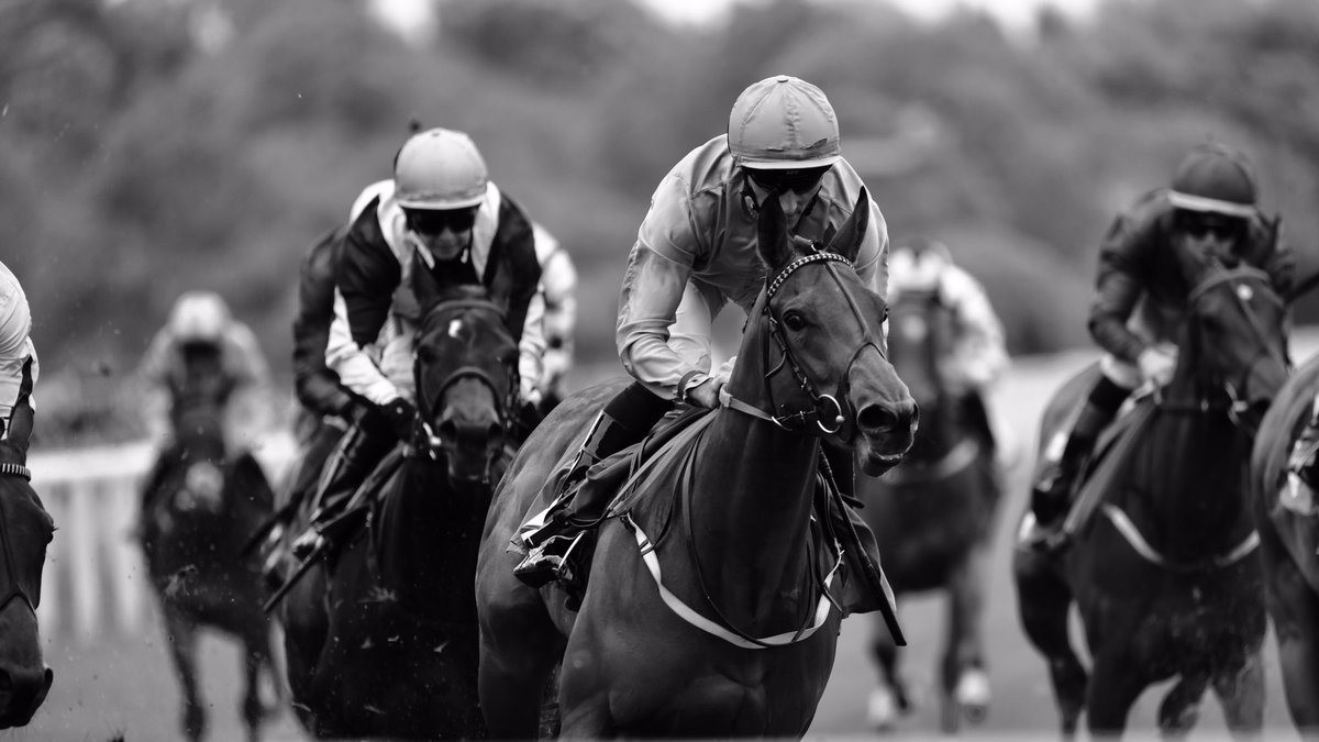 Jo_Grabowska's tweet photo. Knights Solicitors British EBF Marygate Fillies’ Stakes race and winners #PILLOWTALK #DanielTudhope and #KRBurke . All rights reserved. #racingpost #rpbloodstock #winner #racing #yorkraces #horseracing #race #thoroughbreds https://t.co/C73c2tlzXs