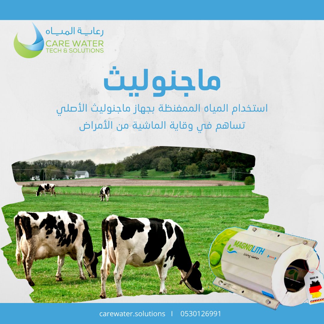 CareWater_S's tweet photo. هل تعاني من إصابة حيوانات مزرعتك بالأمراض؟
هل تسعى لزيادة إنتاجية الحليب؟
جهاز "ماجنوليث" من مؤسسة رعاية المياه سيساعدك في الحفاظ على صحة الحيوانات. حيث أثبتت الدراسات أن الحيوانات التي تشرب من المياه المعالجة المغناطيسية تقاوم الأمراض بشكل أكبر من غيرها.
للتواصل: 0530126991 https://t.co/7n8rCrBaxz