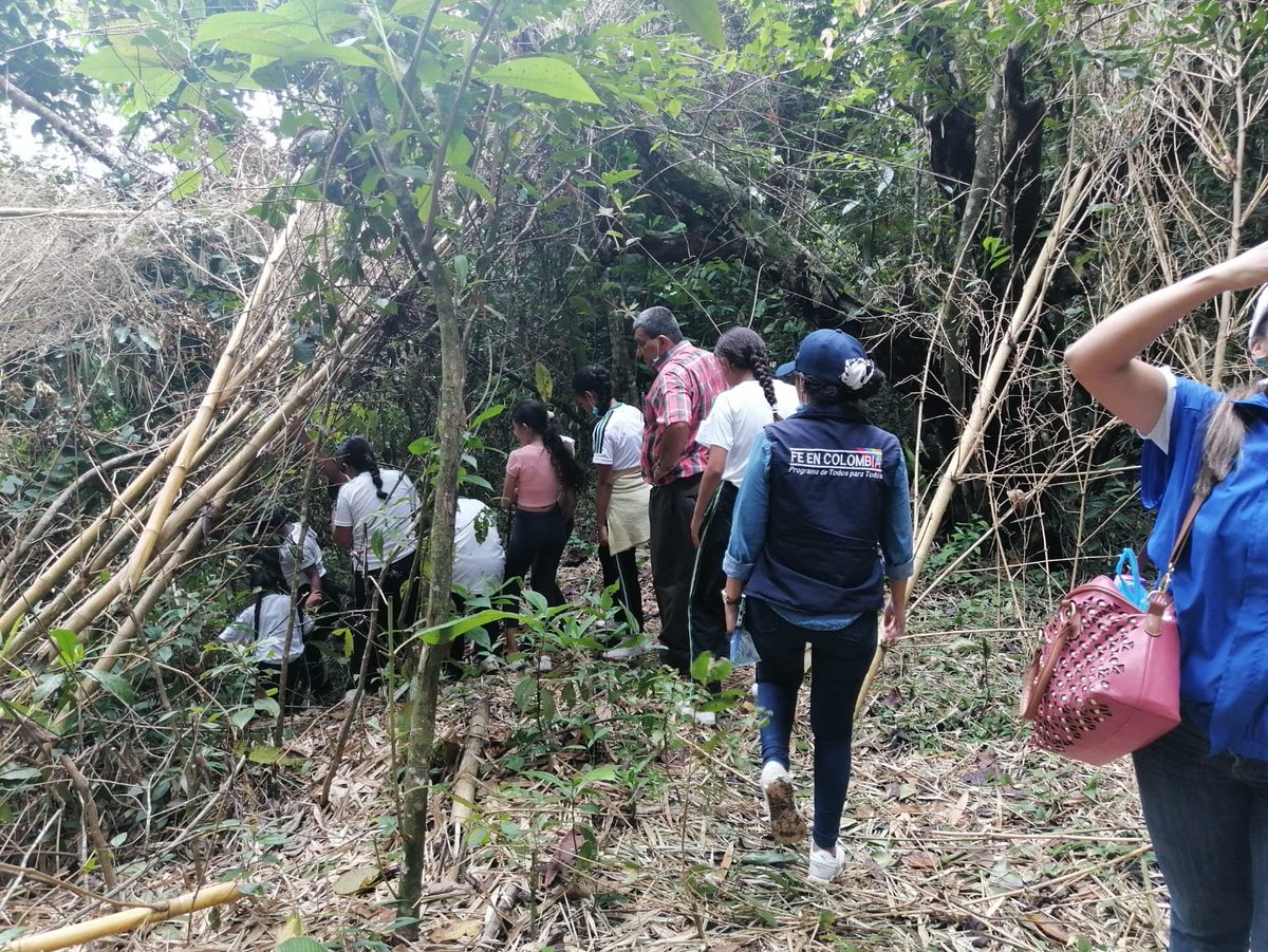 Ejercito_Div5's tweet photo. Generando sentido de pertenencia por el cuidado del medio ambiente, estudiantes de la Institución Andrés Rocha de Chaparral #Tolima, sembraron más de 50 árboles junto a la quebrada La Paloma, en artículación con #FeEnColombia, @Cortolima, soldados de Acción Integral y #BICAI17 https://t.co/aUjQhD5tAM