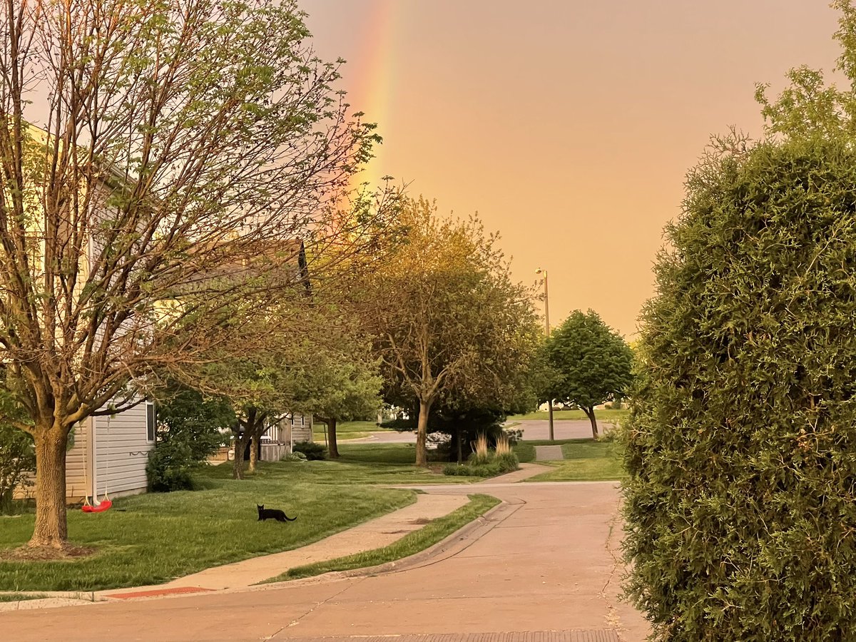 rpci2004's tweet photo. @NWSChicago Double Rainbow, black cat and lunar eclipse; hoping for a clear night! https://t.co/Mv66y31QMV