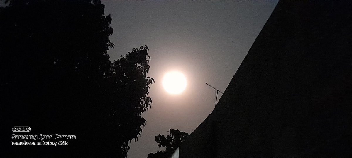 AGUILA_ALFAR's tweet photo. @MOISESURBINA @elnoticiero_6 Luna en su mejor esplendor https://t.co/HKVIPxlmx3