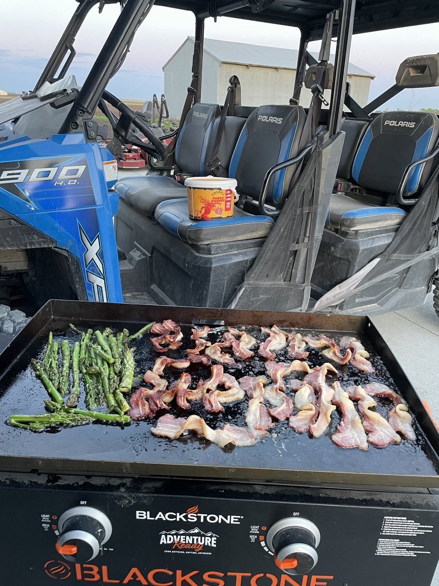 Jordan Davison tweet media