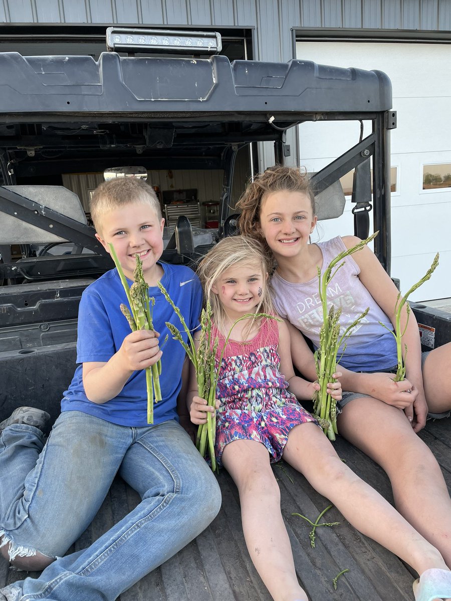 Jordan Davison tweet media