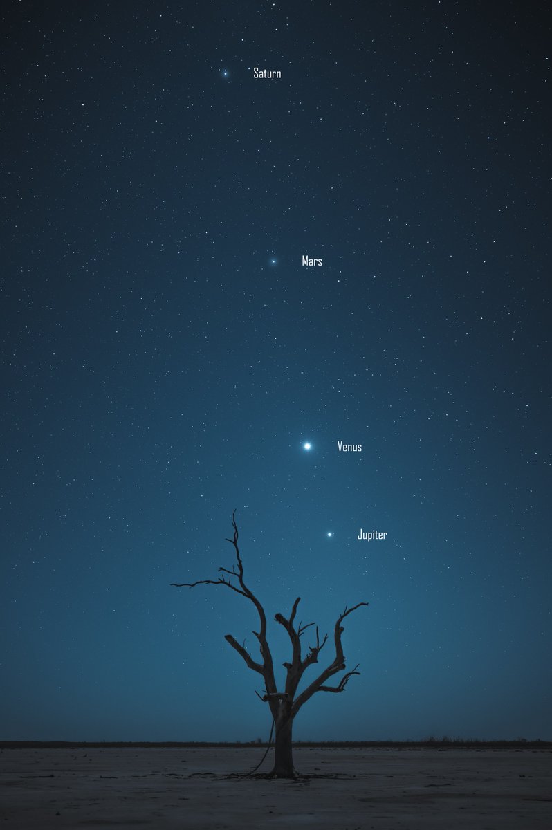Did anyone else capture the planet alignment a few weeks ago? Would love to see them.