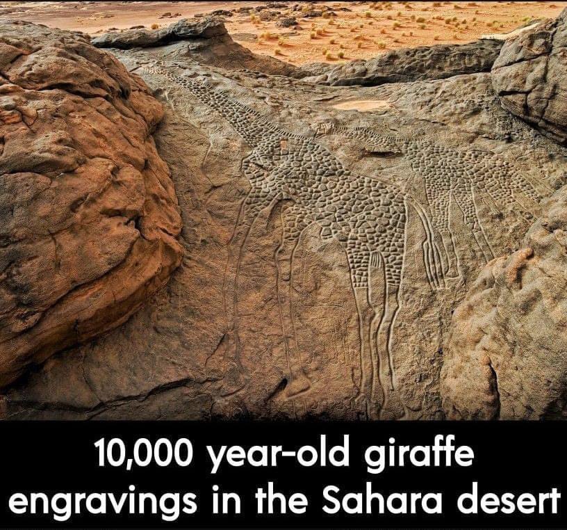 TwolandstokenG's tweet photo. Are you a history buff and crypto fan? Check out #twolandstoken at https://t.co/7tykG7HIdW and see what they’re doing to unearth the unknown. #newcrypto #erc20 #history #archeology #crypto https://t.co/t1i927gcG9