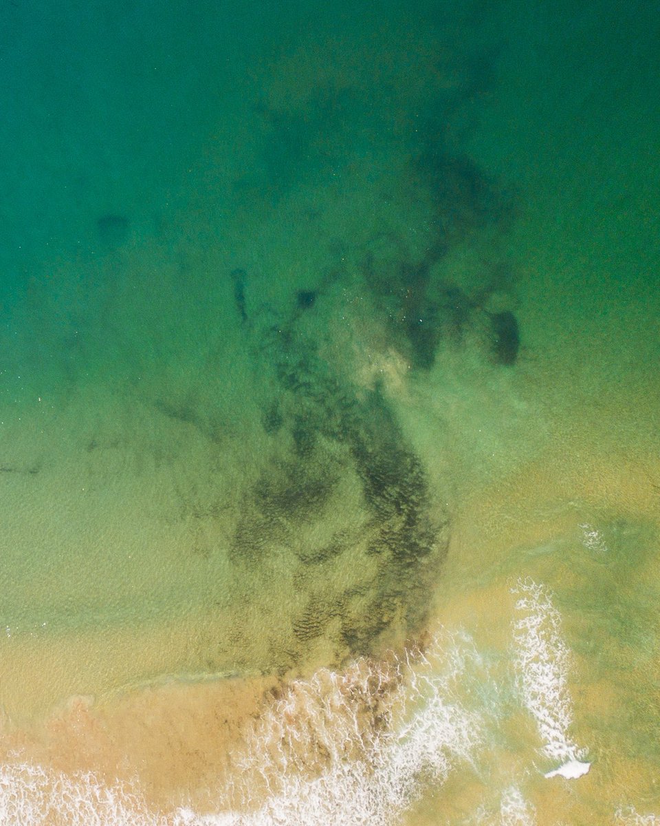 PedroIngber's tweet photo. This is my newest drone NFT. First one at this price check it out. 🥵😎🛸
#NFT #nftphotography #NFTCommmunity #nftcollector #brasil #photooftheday #photograhy
#art #dronenft 

https://t.co/VfA9pLLyNe https://t.co/yaZMSaPcd6