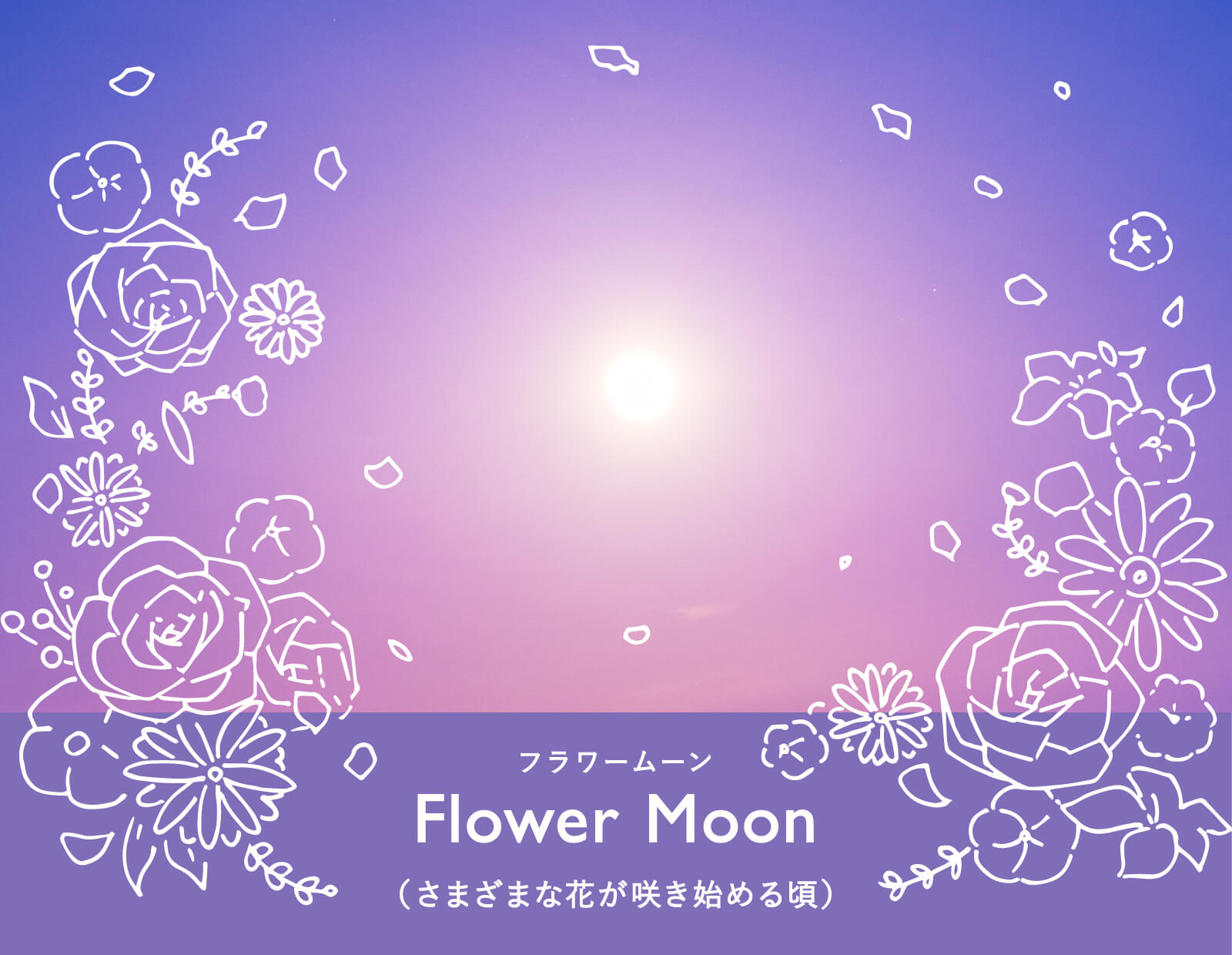 暦生活 こよみせいかつ 10周年 今日は満月 フラワームーン とも呼ばれます さまざまな花 が咲き始める月ということでこう呼ばれます アネモネ スミレなど次々に花が咲き始め 月明かりが花畑を照らします ネイティブアメリカンの満月 面白い