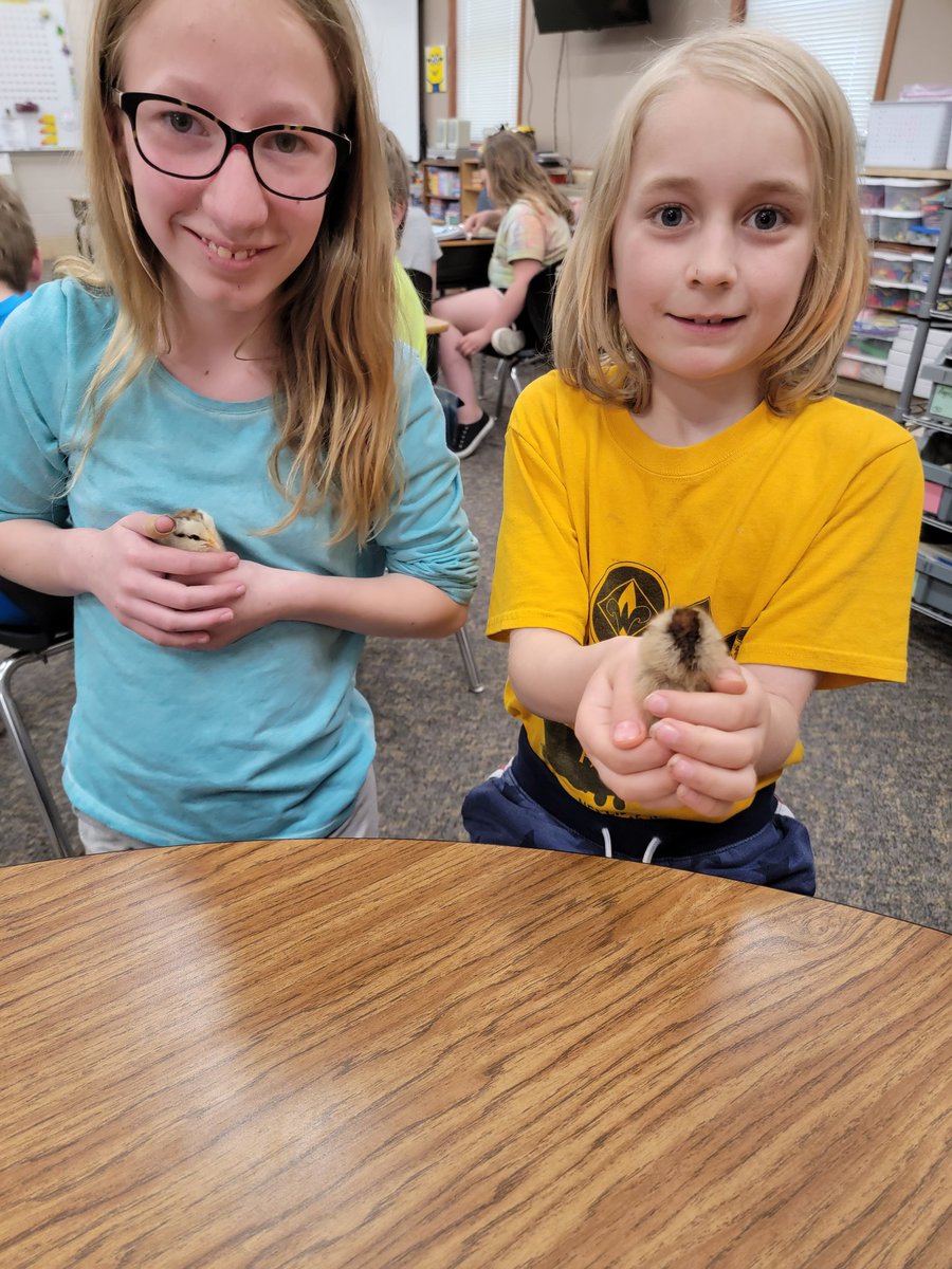 msdirksact's tweet photo. Thanks so much, Mrs. Spragg, for letting us visit the baby chicks! They are so cute, and we had fun! #itsagreatplacetostart #lifeissweetin5thgrade https://t.co/Bj0LVvvEtq
