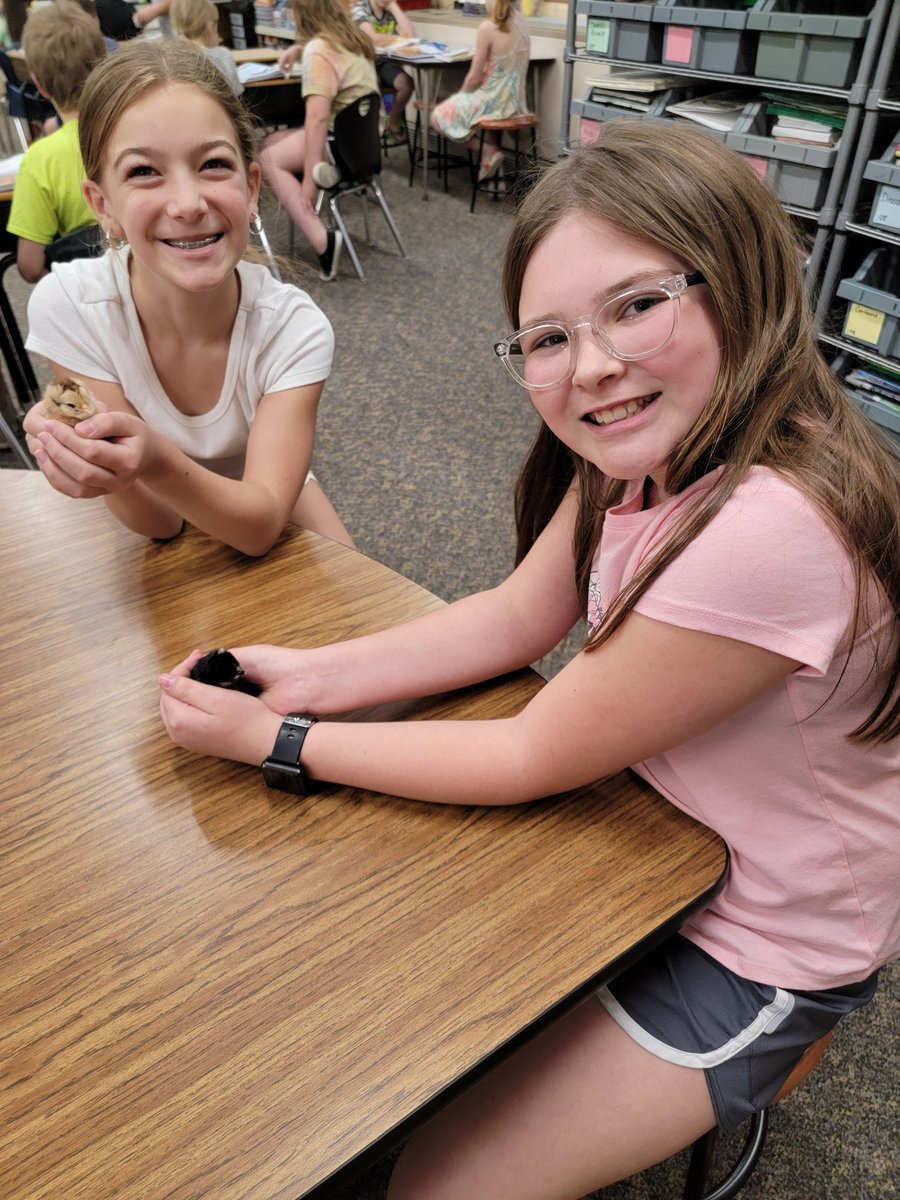 msdirksact's tweet photo. Thanks so much, Mrs. Spragg, for letting us visit the baby chicks! They are so cute, and we had fun! #itsagreatplacetostart #lifeissweetin5thgrade https://t.co/Bj0LVvvEtq