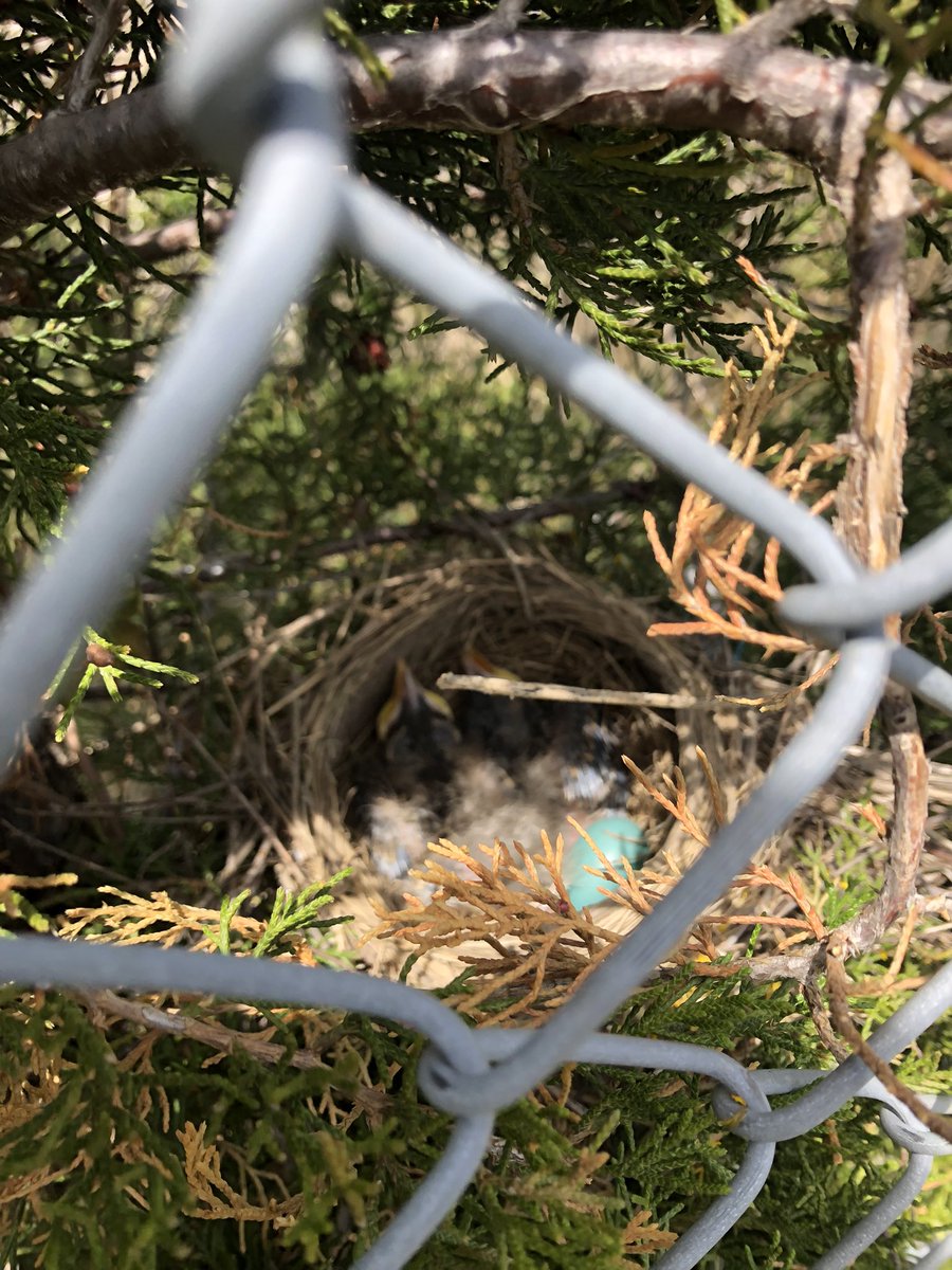 2Gnps's tweet photo. We found a new discovery on the primary playground😊. https://t.co/d6y3IUKrpI