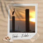 Photo by Perdido Key (@VisitPerdidoKey)