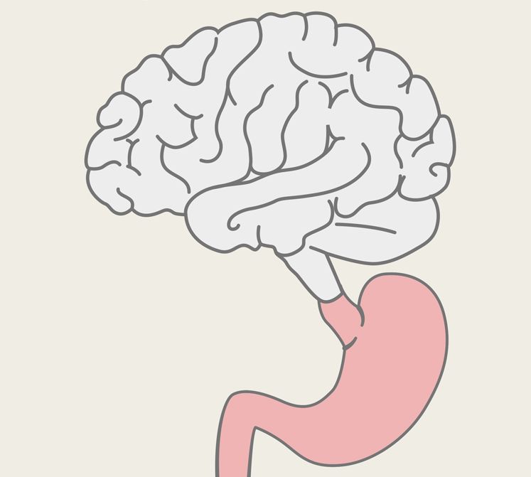 JoanaOlvera20's tweet photo. ¿RELACIÓN MENTE-CUERPO?
¿ES REAL?
¡Claro que es real!
Y es increíble el idioma biológico que comparten.
Los alimentos influyen mucho en nuestro bienestar mental y físico.
Piénsalo y comprueba el famoso: "Eres lo que comes".
#TUAtizapan #PoderTapatio #Chivas
@nutriologaindii https://t.co/wcg76X4JXk