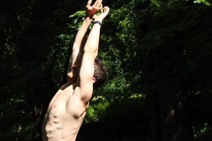 ミーム https://t.co/TtAj8bH1Uh