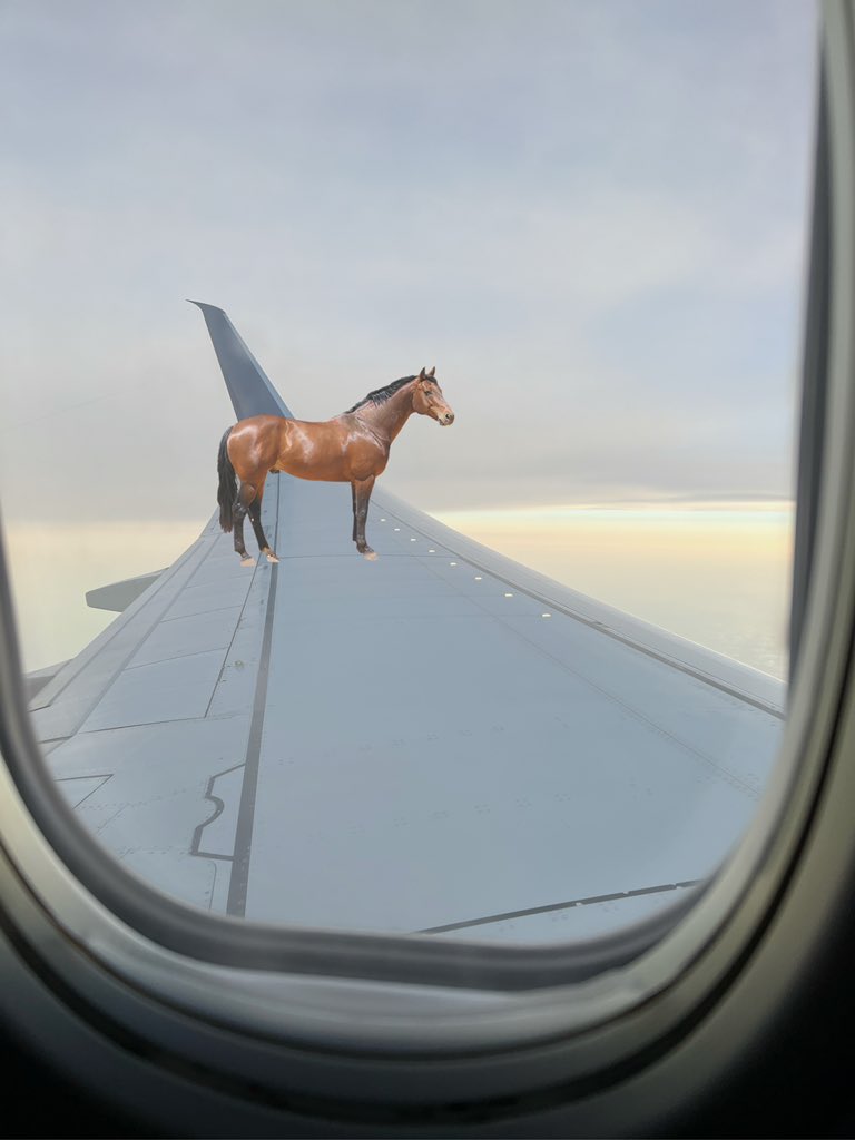 nothinbutlag's tweet photo. man who tf on my flight https://t.co/ERVjly6TDb