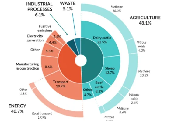 Image from environment aotearoa (@environmentnz)