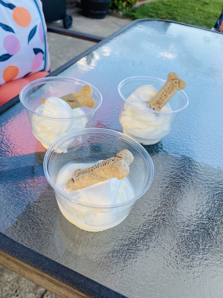 CandiceGabriel3's tweet photo. Pup Cups 🍦🦴🐾♥️ https://t.co/vU45pBBjPT