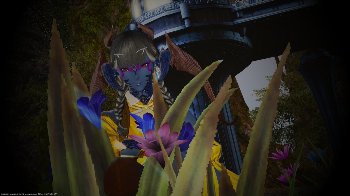 IyaYoake's tweet photo. I walked inside the gates for just a second before they slammed close behind me, giving me quite the shock. I went investigating to find another way out but got distracted by flowers for my herbarium >.<. Ah well... ah well #FF14 #FFXIV #GPOSERS https://t.co/Bjkmmsl66H