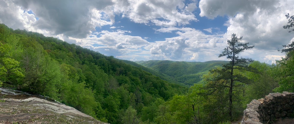 rOracle888's tweet photo. Hiked to the top of this mountain and did an ice cold plunge in the nearby river. 4.72 miles with gorgeous, stunning views!😍
#CrabtreeFalls #BlueRidgeMountains #VirginiaMountains 🏔 #fullmooninscorpio ♏️🦂#cryotherapy #nature #hiking https://t.co/kUVZi6SehH