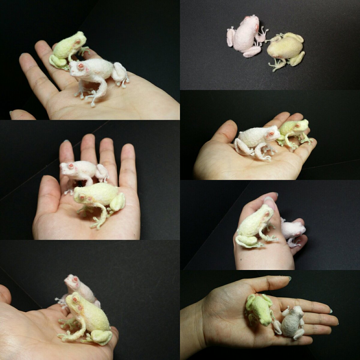 kawamotokou's tweet photo. Needlefelted frogs.
【Albino tree's frog】
#NeedleFelting #Frog #TreeFrog #LoveFrog #AlbinoFrog #Handicraft
Please check out my page.
https://t.co/7dSLfxbhVv https://t.co/hem5pAsVK5