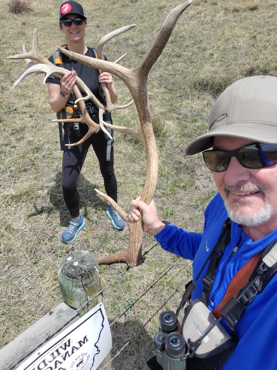 Coach_Kinna's tweet photo. You might have pulled a Herbert auto, but have you ever snagged an Elk shed!!! @CardPurchaser #hobby #sunrivergamerange #mtstrong https://t.co/Gz3rVhrMXn