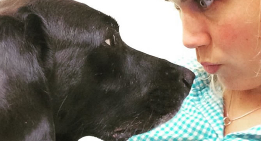 Why buy doggie pill pockets when you can make them! fitbottomedgirls.com/2016/05/homema… <a href="/dogtimedotcom/">brandon hopkins</a>