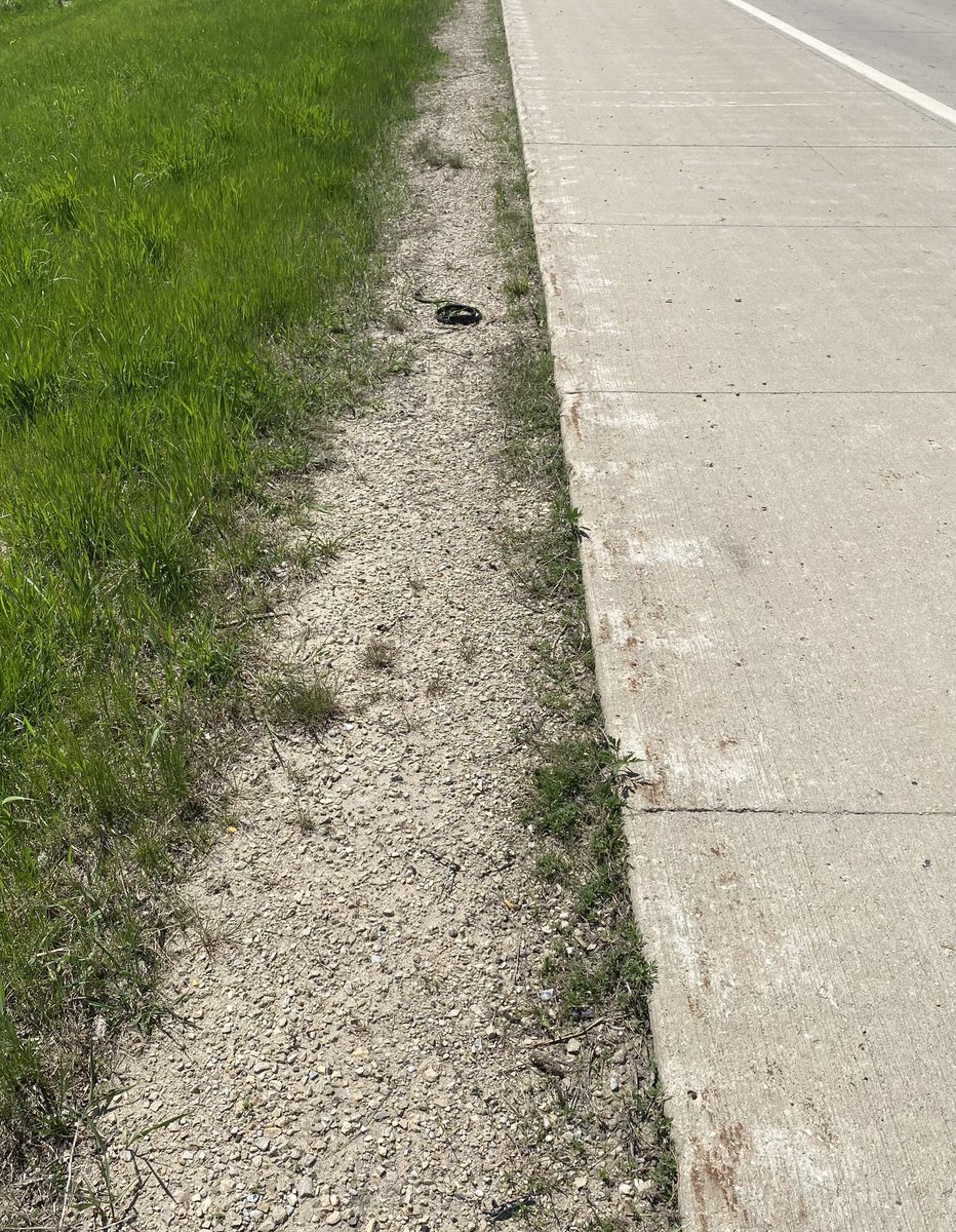 Amy Oxentenko, MD, MACP, MACG, AGAF tweet media