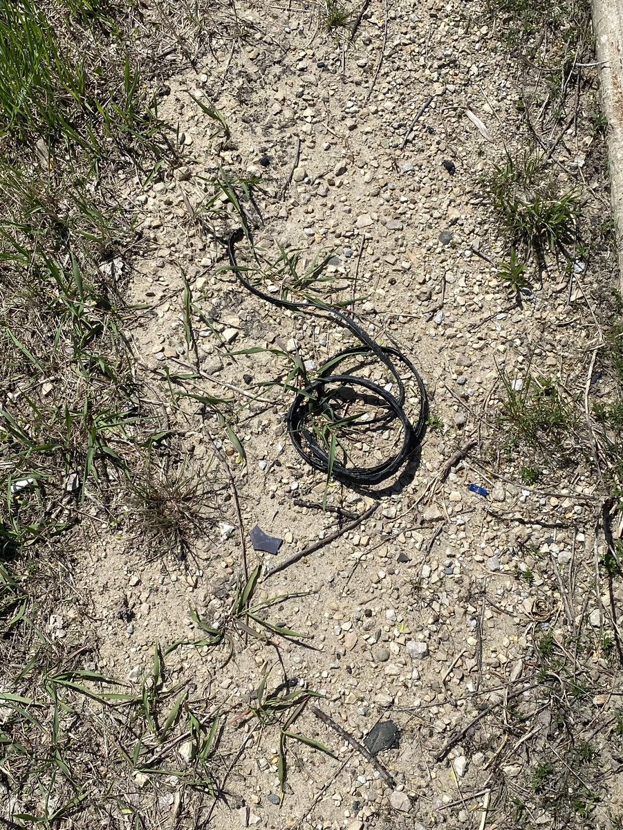 Amy Oxentenko, MD, MACP, MACG, AGAF tweet media