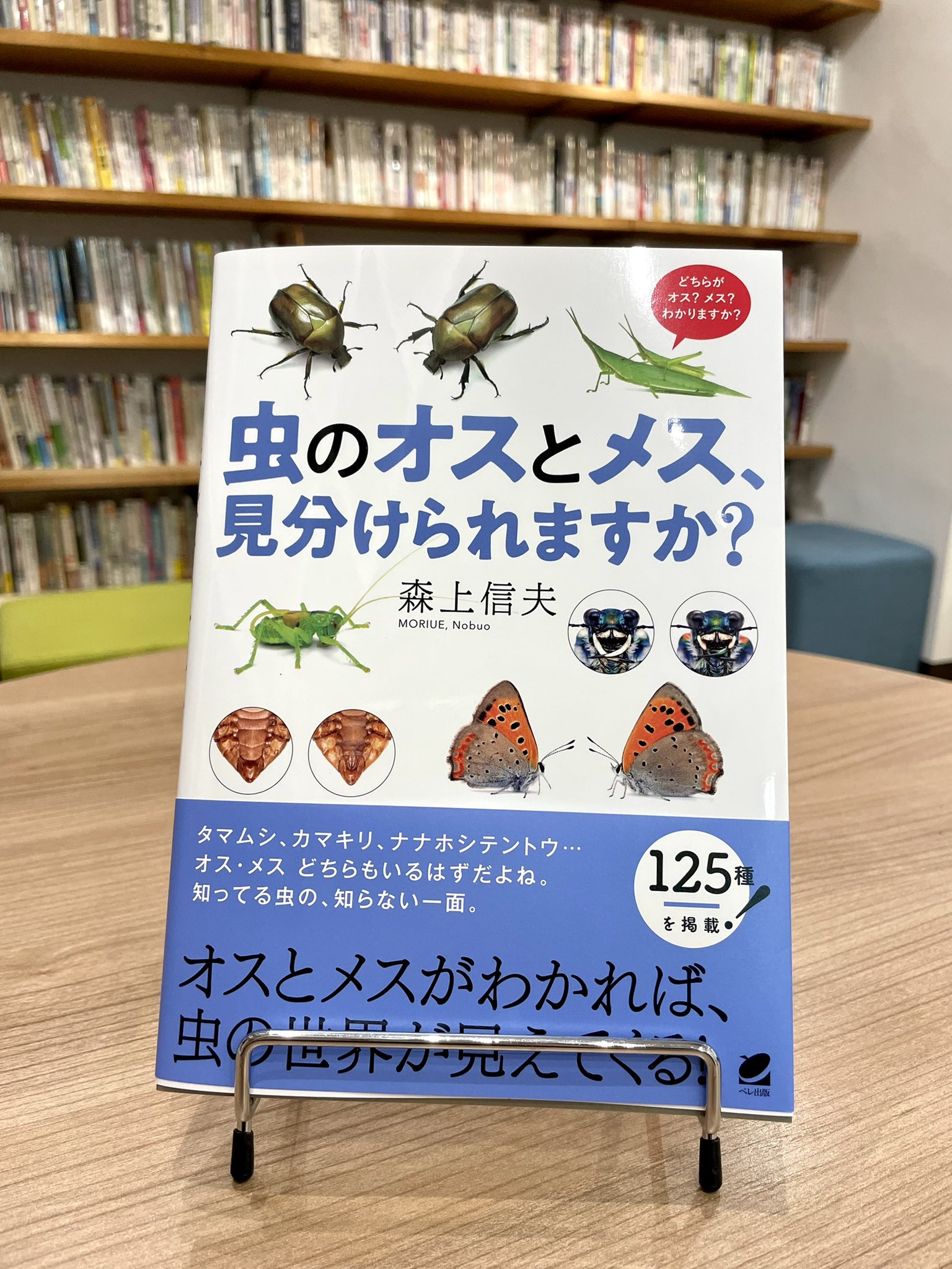 オスとメスの違い Twitter Search Twitter