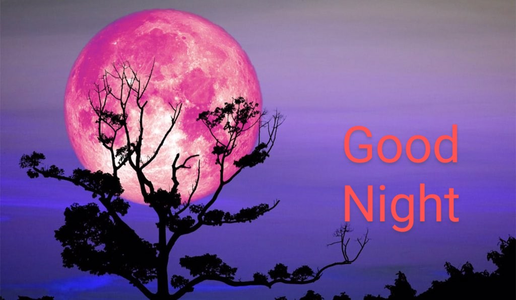 marcobonilla553's tweet photo. Good Night Twitter World
#moonred https://t.co/b6Lyx1H3r2