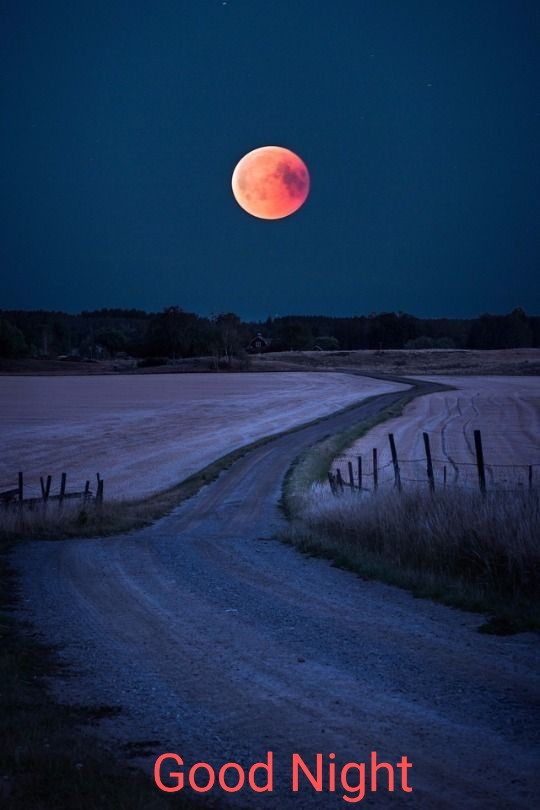 marcobonilla553's tweet photo. Good Night Twitter World
#moonred https://t.co/92hOKfKmFb