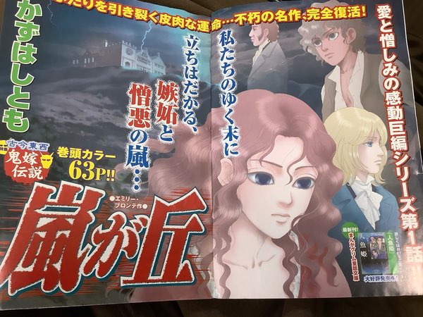 そういえば「嵐が丘」も描いていました。 全3回160p程でしたが、世代を