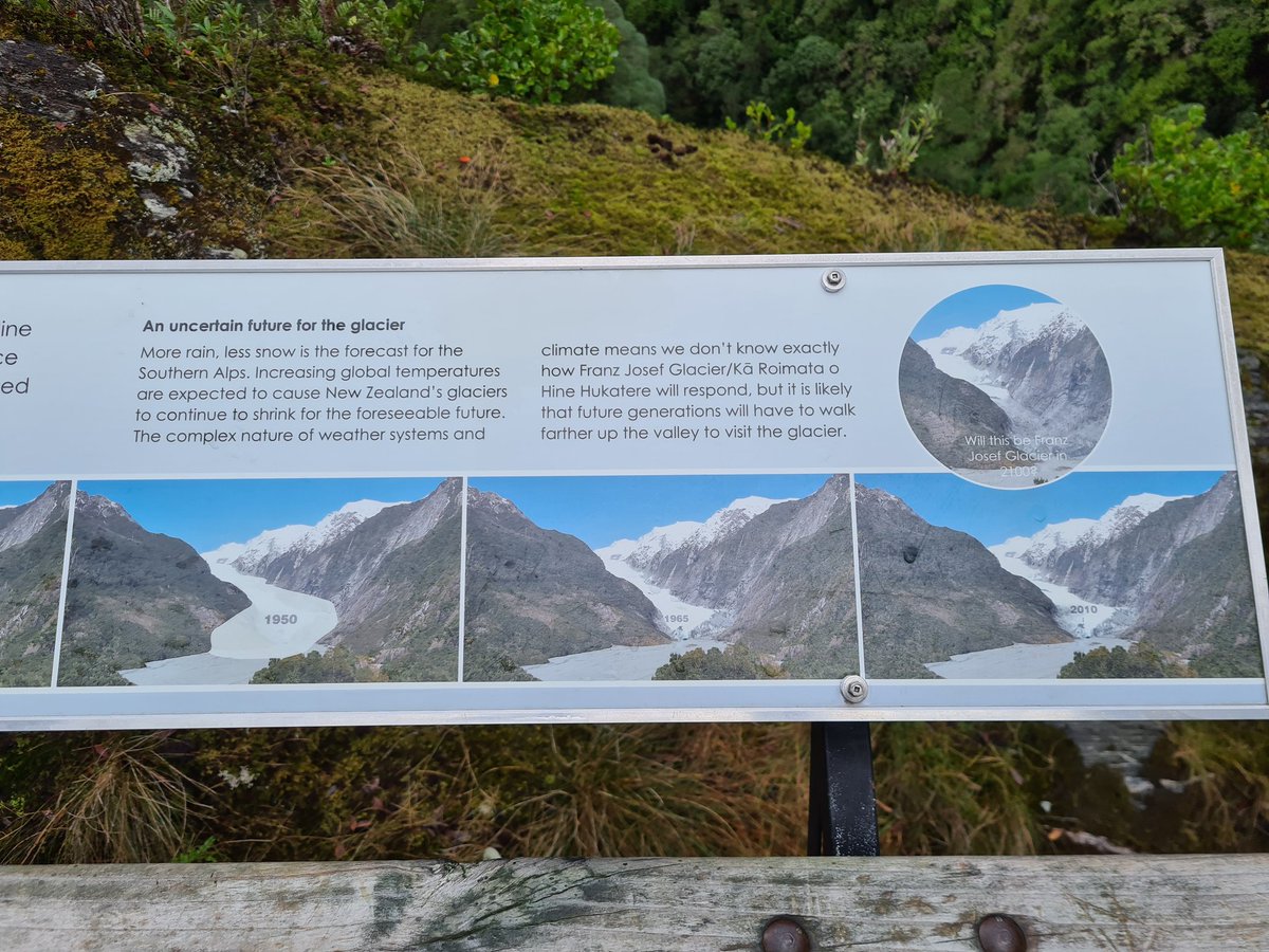 Tim McCready tweet media