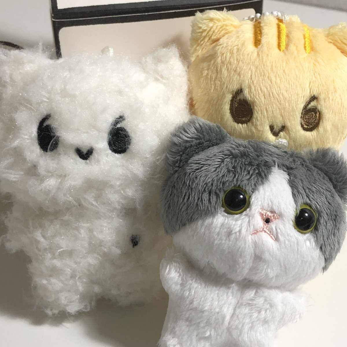 babyzzize's tweet photo. [공지]

찌즈 재고판매는 중국 내 봉쇄가 풀리면 가능할 거 같습니다😭
또한 인형 공장이 상해에 위치하여 봉쇄를 당했기 때문에 찌즈 40cm 제작도 봉쇄가 풀리고 중국내 배송상태가 원할해지면 가능할 것 같습니다

상황이 좋지 않아서 제작과 배달이 평탄하지 못한 점 항상 죄송하고 감사드립니다🙇‍♀️ https://t.co/1JUUJ0extY