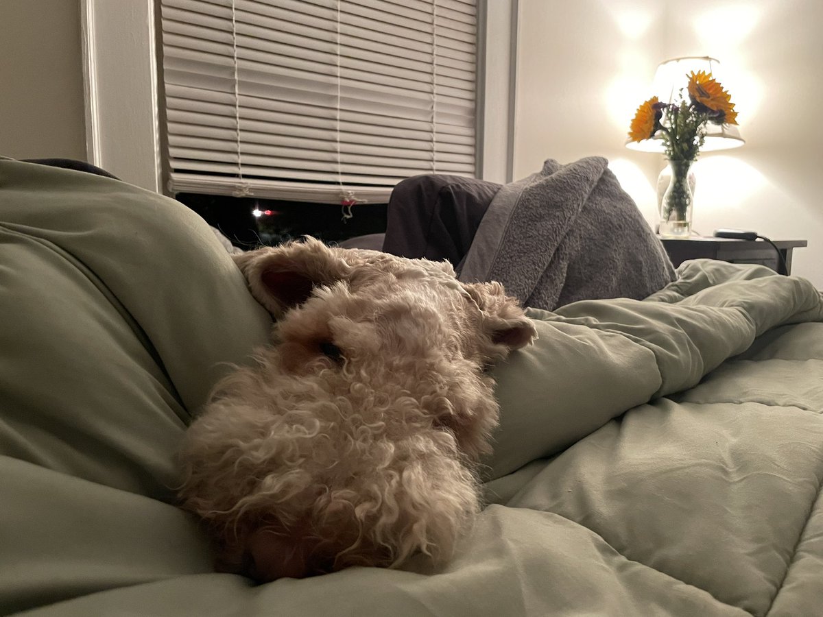 RoenickDoodle's tweet photo. Good night 😴 How was everyone’s weekend? https://t.co/UVsA2U3IIU