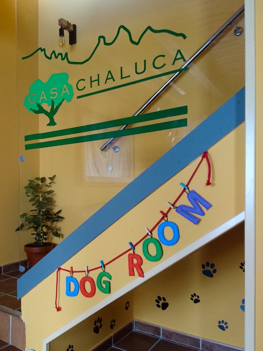 CasaChaluca's tweet photo. Detalle del rincón que tenemos reservado para vuestros peludos... 😀 Reserva @CasaChaluca en: https://t.co/SFweJSAyBq https://t.co/PPI3rwe6vw o casachaluca@gmail.com #relax #alojamientorural #casarural #turismorural #escapadarural #TurismoconPerros #DogFriendly #CasaChaluca https://t.co/fjGmmd2SLJ
