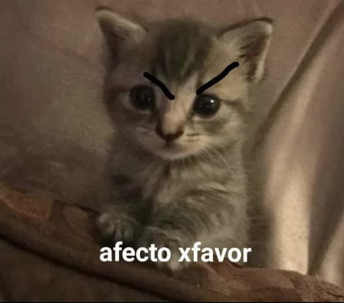 aXoZerr's tweet photo. https://t.co/RE5qK9O0bD
