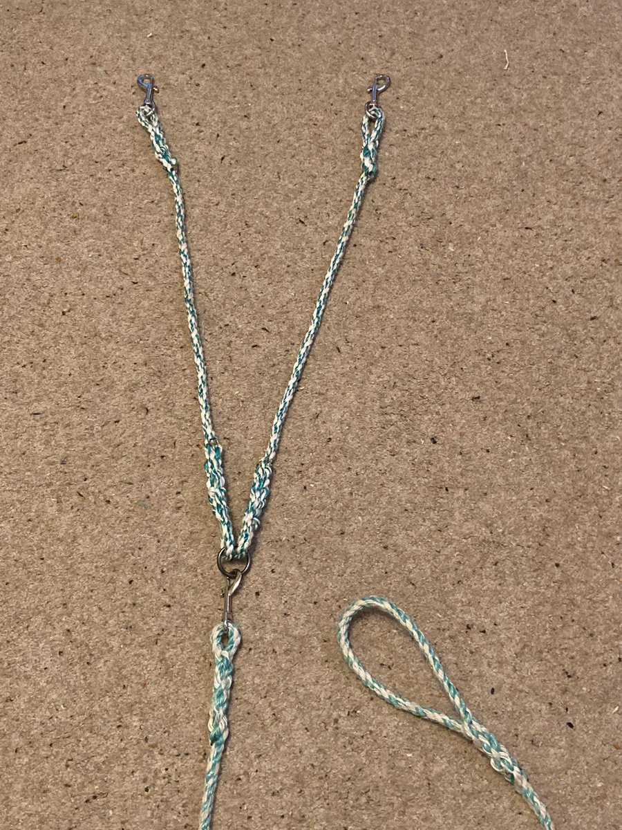 CornishSpliced's tweet photo. 1 dog or 2?...

We recently had a request from a Cornish Spliced follower. …. thread 🧵 

#TwiceAsNice #DoubleSpliced
#rePURPOSEDinCORNWALL. #leadingtheway #dogs #walkies #cornishspliced https://t.co/gGvw7Ubk21