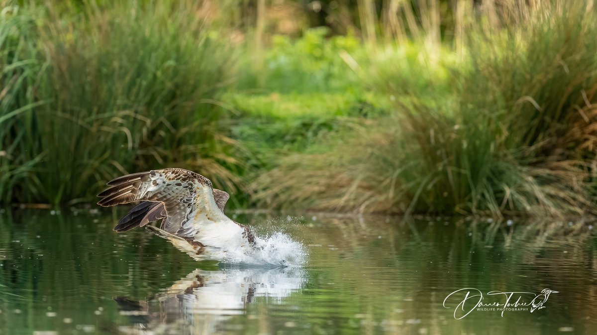 Horn Mill in Rutland