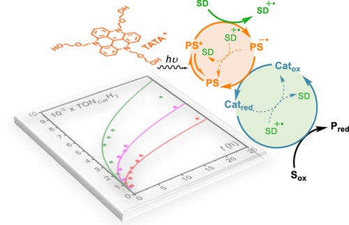 Turnover numbers, turnover frequency, and limiting processes -- @DCMGrenoble @LabexArcane @mn_collomb @costentin provide a reliable kinetic model for analysis and comparisons between photoinduced catalytic processes, redox reactions pubs.acs.org/doi/10.1021/ac…