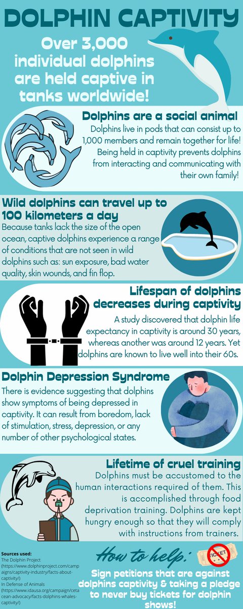 DayanaSheinin7's tweet photo. #39canimals Check out my infographic about the problem of dolphin captivity! https://t.co/WgkggkVE8l