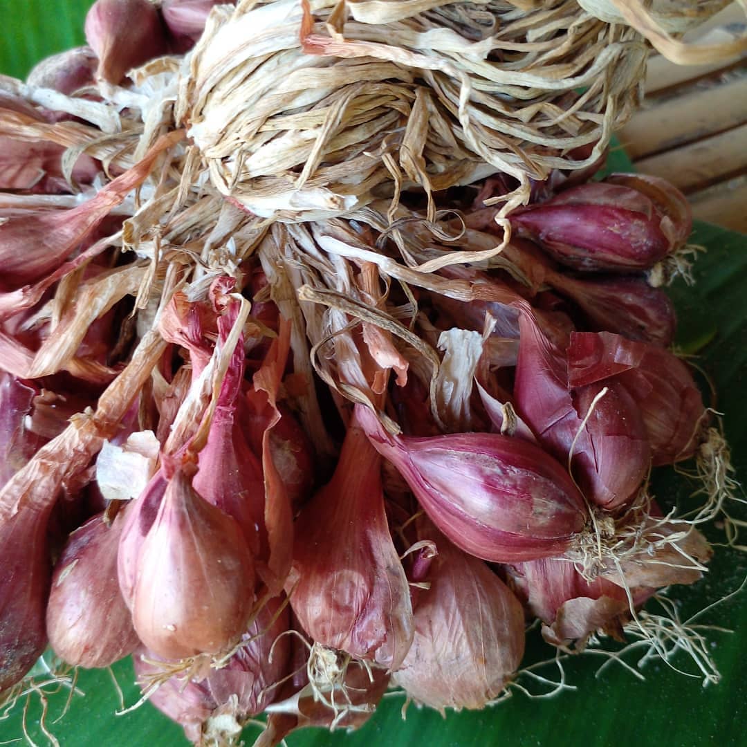 FoodsEsan's tweet photo. #bittergourd #pickledgarlic
#vegetable #driedonions
This is a staple in my vegetable garden.😊
I don't have to go to the supermarket. https://t.co/myDzzZRr3d